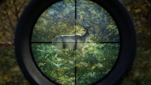 theHunter Call of the Wild download free